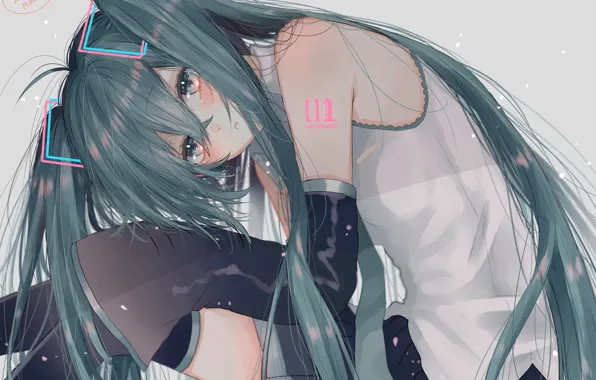 Vocaloid, hatsune miku, ichijiku