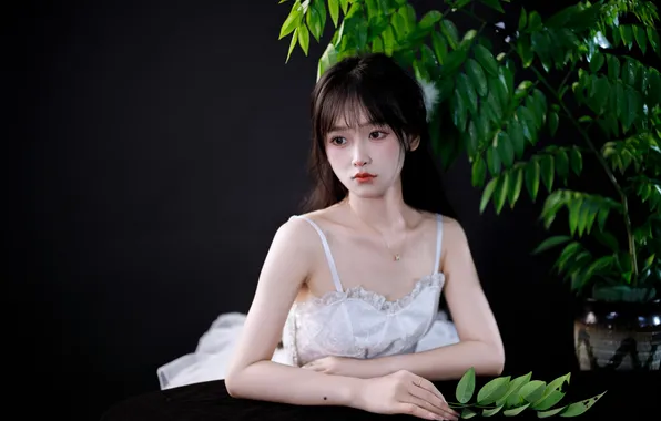 Beautiful, Asian, Model, Table, Woman, Cute, Pretty, Petite