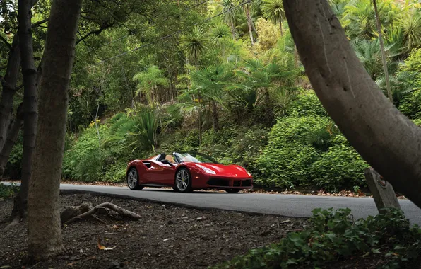 Ferrari, 2017, 488, Ferrari 488 Spider 70th Anniversary