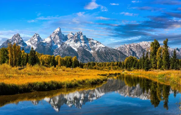 Осень, деревья, горы, отражение, река, Вайоминг, Wyoming, Grand Teton National Park