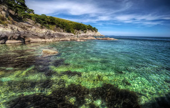 Море, небо, солнце, деревья, камни, берег, HDR, горизонт