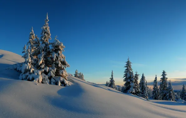 Картинка зима, небо, снег, деревья, закат, холмы, ель, горизонт