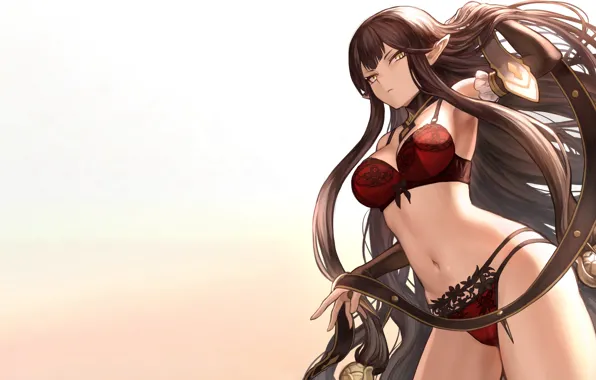 Картинка girl, sexy, lingerie, bra, cleavage, panties, long hair, brown hair