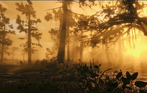 HDR, Wood, Game, Sea, Fog, Trees, Sunlight, UHD