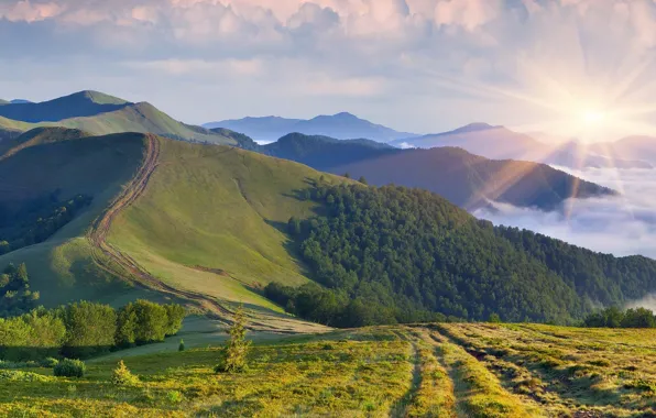 ДОРОГА, ЛЕС, ХОЛМЫ, ТРАВА, ГОРЫ, НЕБО, СОЛНЦЕ, ОБЛАКА