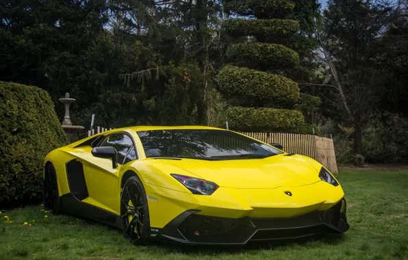 Картинка 50th, lp700-4, lamborghini, anniversary, aventador