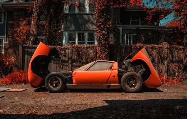 Цвет, Авто, Lamborghini, Пыль, Машина, Оранжевый, 1971, Автомобиль