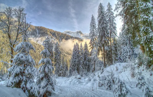Картинка зима, лес, снег, горы, природа