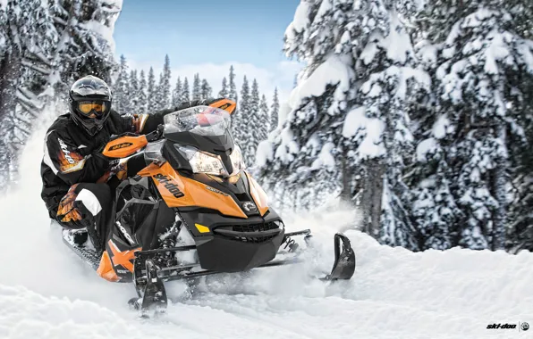 Деревья, Снег, Лес, Снегоход, Snowmobile, Ski-Doo