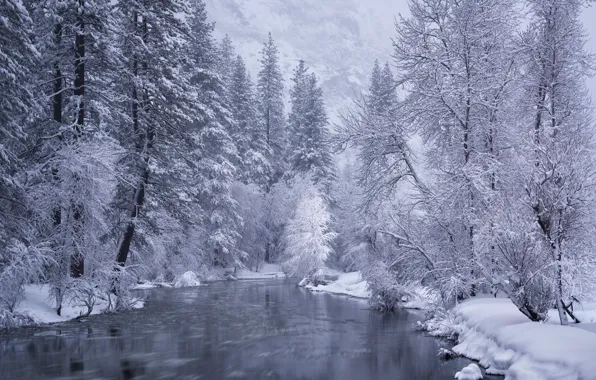 Картинка зима, лес, снег, деревья, река, Калифорния, California, Yosemite National Park