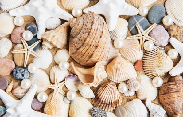 Песок, пляж, фон, ракушки, beach, texture, background, sand