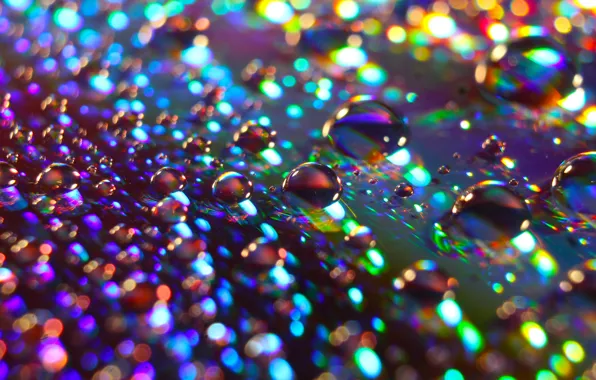 Water, macro, color, drops