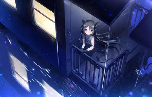 Кошка, девушка, ночь, поезд, Noir, Hoshizora Tetsudou to Shiro no Tabi