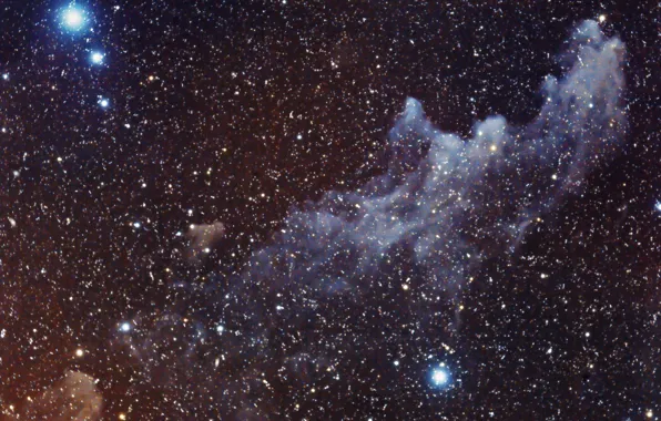 Туманность, Голова Ведьмы, в созвездии, отражательная, Эридана, IC2118
