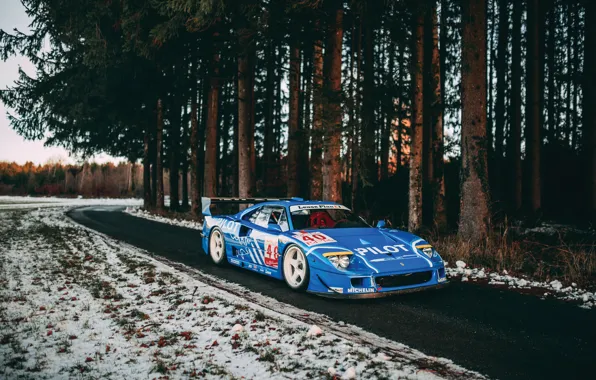 Ferrari, F40, blue, Ferrari F40 LM by Michelotto