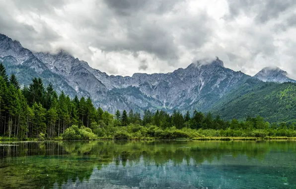 Пейзаж, природа, красота