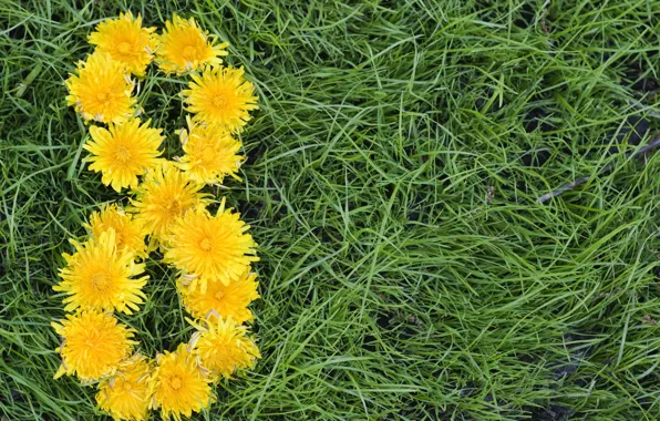 Картинка цветы, желтые, травы, одуванчики, 8 марта, на фоне, женский день, зеленой