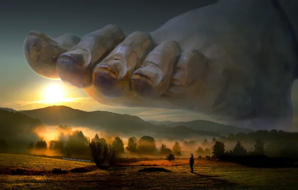 Поле, лес, небо, свет, деревья, пейзаж, горы, природа