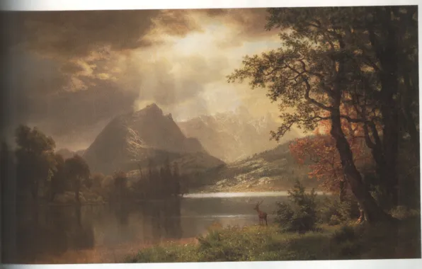 Картинка Colorado, BIERSTADT, ESTES PARK