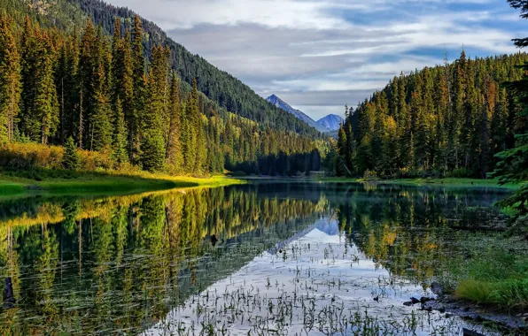 Лес, горы, озеро
