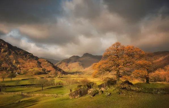 Осень, деревья, горы, Англия, Камбрия