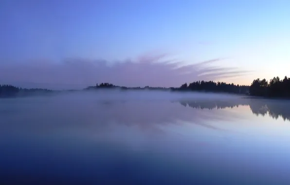 Деревья, туман, озеро, отражение, 153