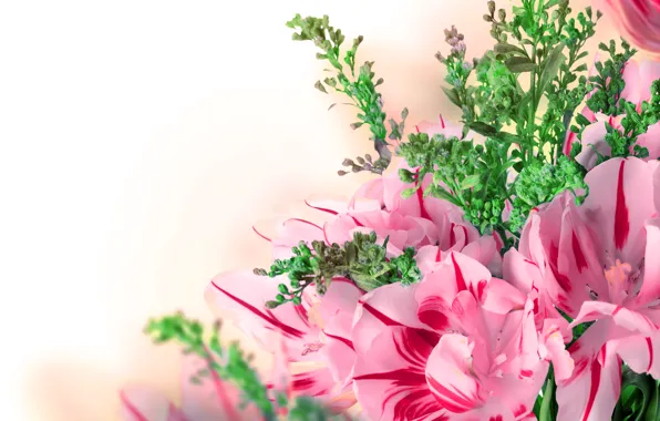 Картинка листья, макро, природа, букет, лепестки