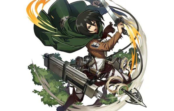 Оружие, Shingeki No Kyojin, Микаса Аккерман, Атака титанов