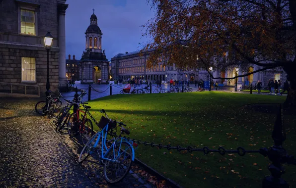 Картинка дерево, здания, дома, площадь, фонарь, Ирландия, ночной город, велосипеды