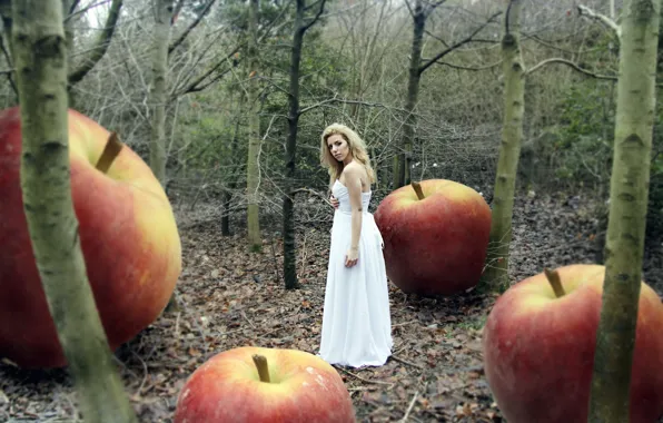 Картинка лес, девушка, яблоки