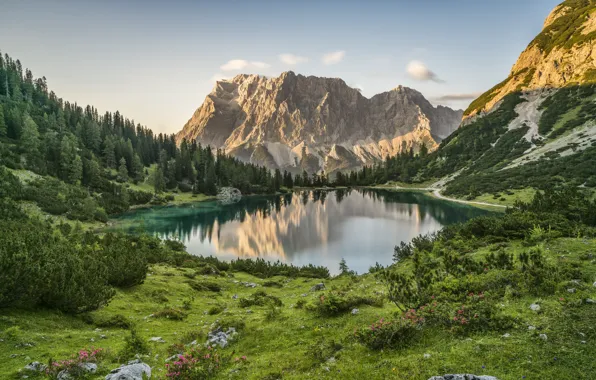 Картинка пейзаж, горы, природа, озеро, растительность, Австрия, Альпы, леса