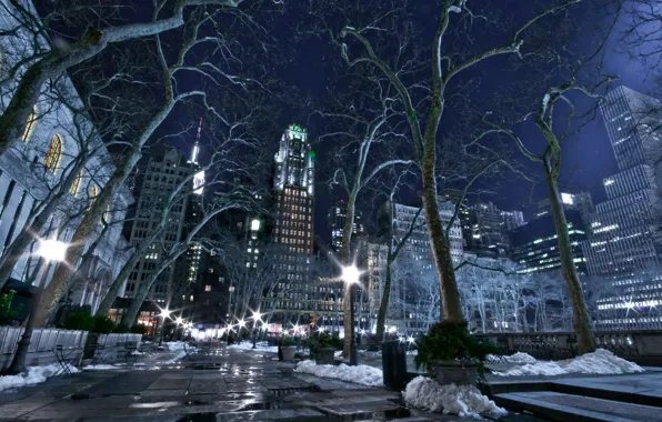 City, lights, USA, road, trees, night, New York, NYC