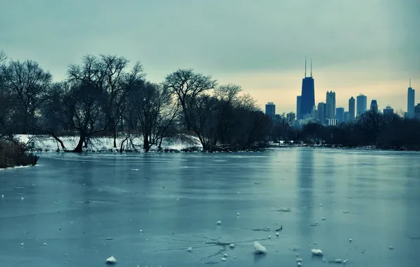 Картинка зима, снег, деревья, лёд, небоскребы, USA, чикаго, Chicago