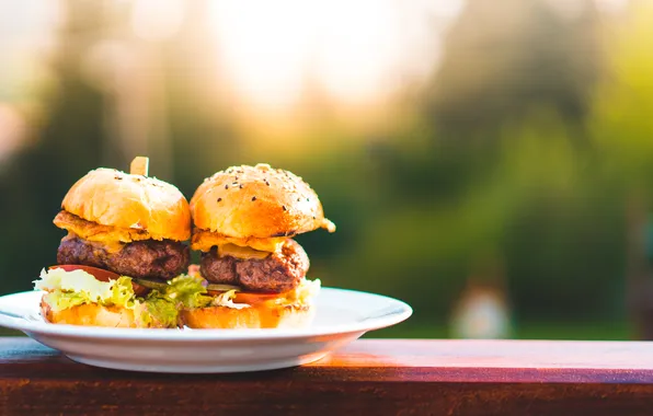 Delicious, dish, burger