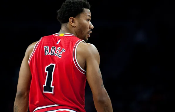 Nba, chicago bulls, derrick rose