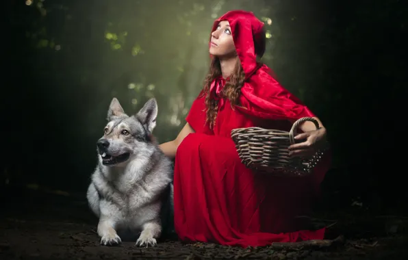 Картинка девушка, собака, капюшон, плащ, корзинка, Красная Шапочка и Серый Волк