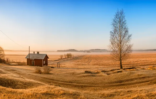 Картинка поле, деревья, дома