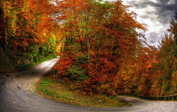Картинка осень, лес, небо, облака, деревья, пейзаж, природа, дороги