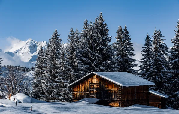 Зима, лес, горы, Швейцария, домик, Switzerland, Surselva