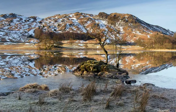 Деревья, пейзаж, горы, озеро