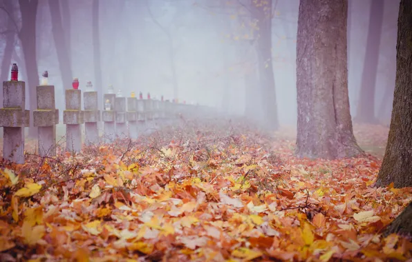 Картинка осень, листья, деревья, туман, кресты, могилы, кладбища