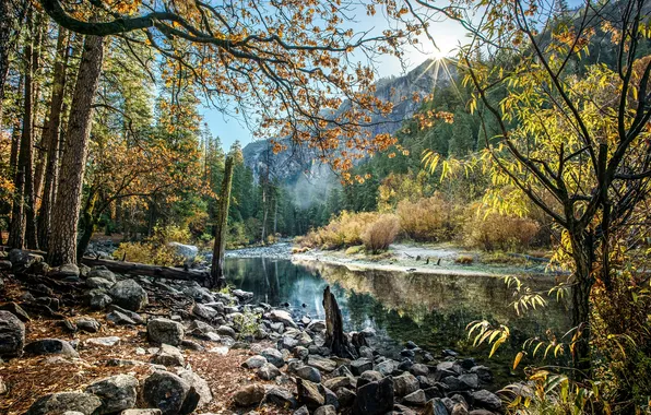Картинка осень, лес, деревья, горы, ручей, камни, Калифорния, США