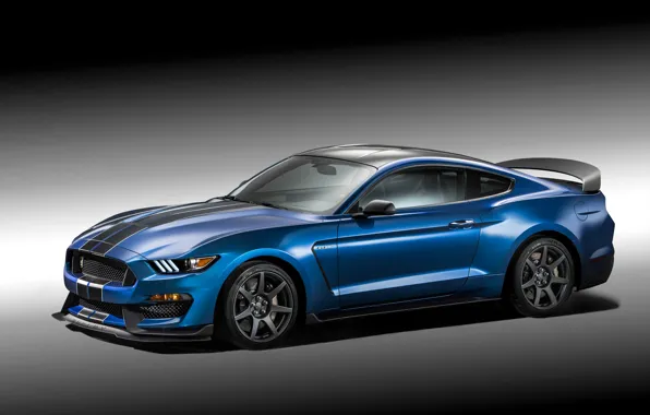 Картинка фото, Mustang, Ford, Shelby, Тюнинг, Голубой, Автомобиль, 2015