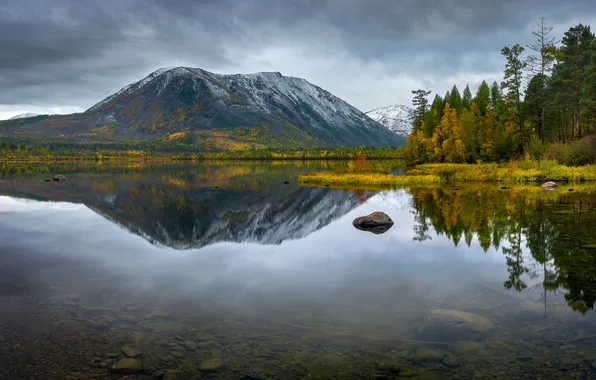 Water, lake, stones, forrest