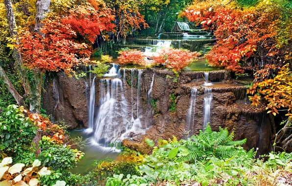 Картинка осень, деревья, листва, водопад