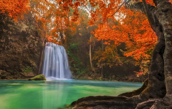 Картинка осень, лес, фото, водопад
