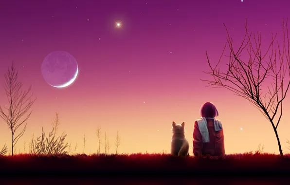 Кошка, девушка, звезды, деревья, пейзаж, закат, луна, вечер
