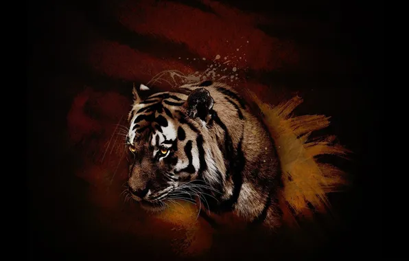 Картинка оранжевый, красный, тигр, животное, хищник, зверь, коричневый