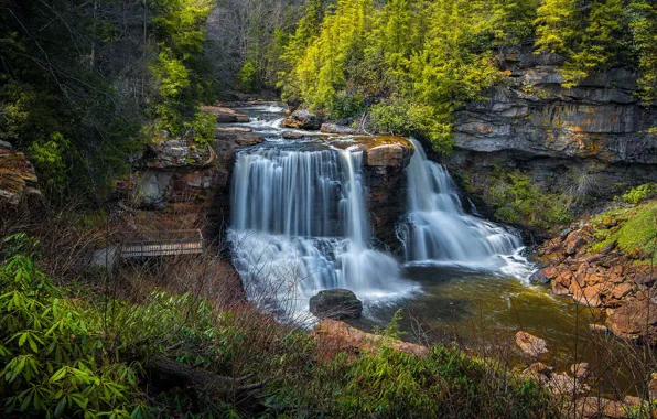 Лес, скала, река, водопады, каскад, West Virginia, Западная Виргиния, Blackwater River