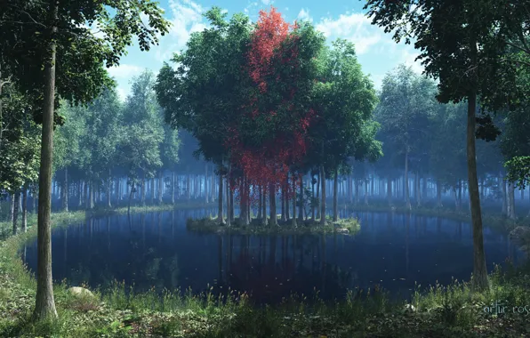 Лес, трава, листья, деревья, озеро, красное, островок, рендер